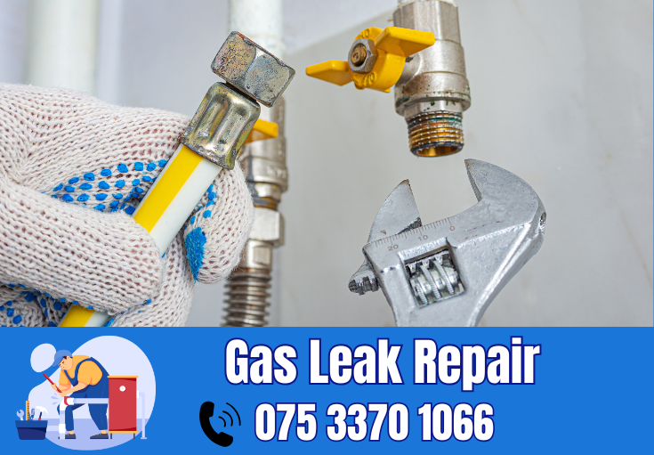 gas leak repair Ashford
