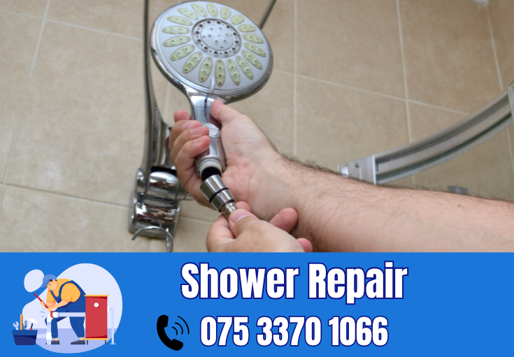 shower repair and installation Ashford
