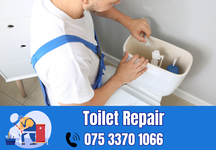 toilet repair Ashford